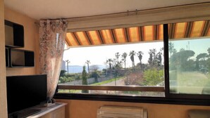 Ein Zimmer mit Fernseher, einem Fenster mit Blick auf Palmen und einer Heizung.