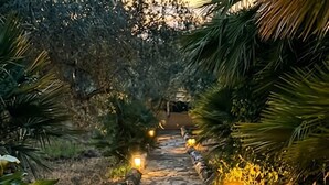 A stone pathway flanked by greenery and illuminated by lanterns, leading to a distant structure.