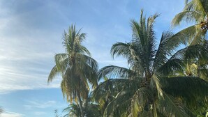 A tropical landscape with a thatched-roof structure, palm trees, and a grassy field. - Villa Privada con Piscina y Vista al Estero (El Zapote)