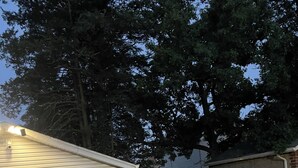 A garage with a white door, a brick wall, and a grassy yard. - Arched Haven (Newark)