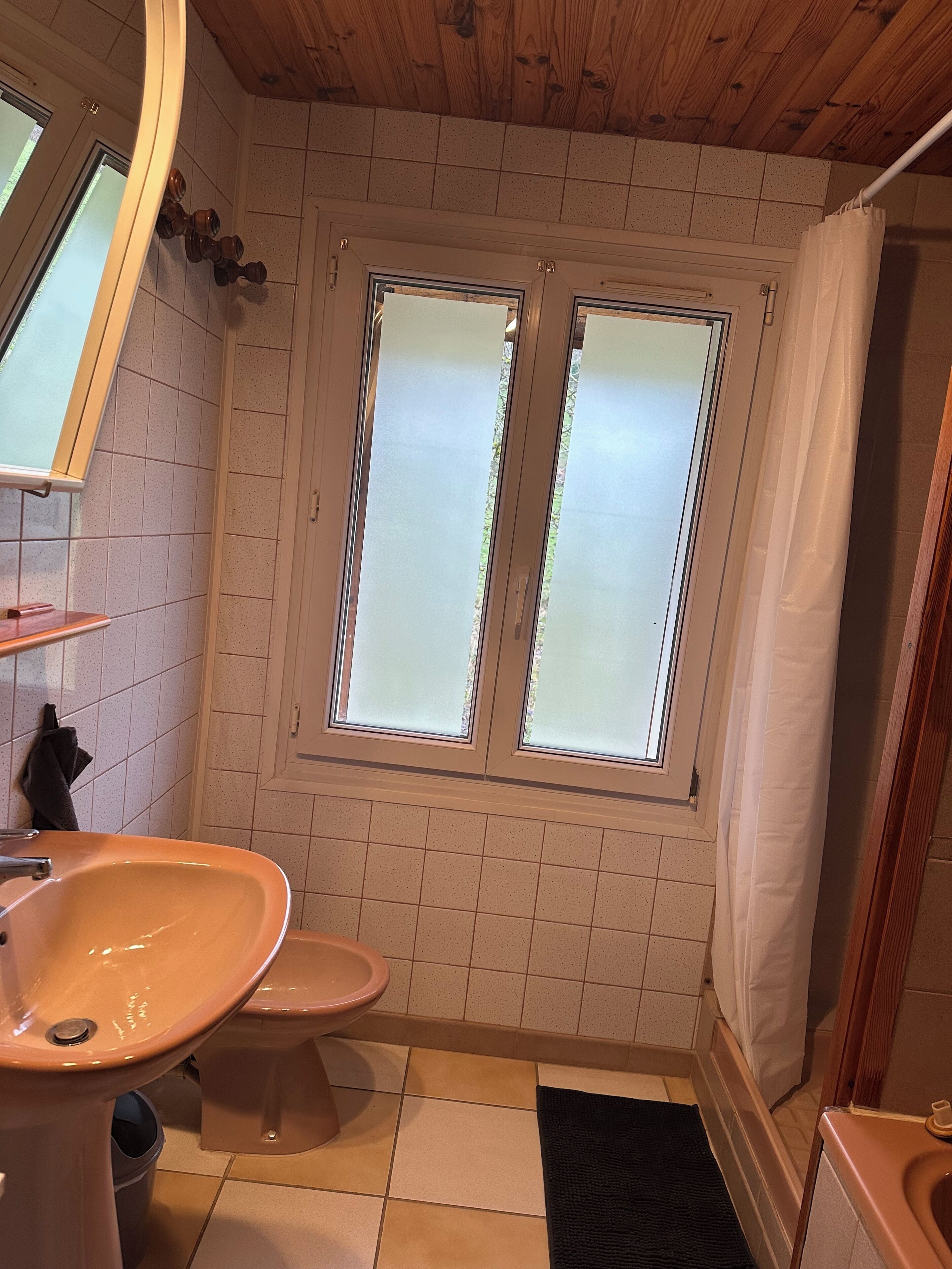 Asciugacapelli, bidet, asciugamani, sapone