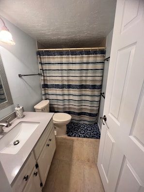 A bathroom with a white sink, toilet, and shower curtain. - Charming, private entrance suite. Sarasota (Sarasota)