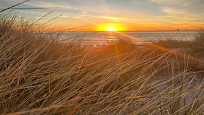 Un capvespre sobre una platja amb gespa al primer pla.
