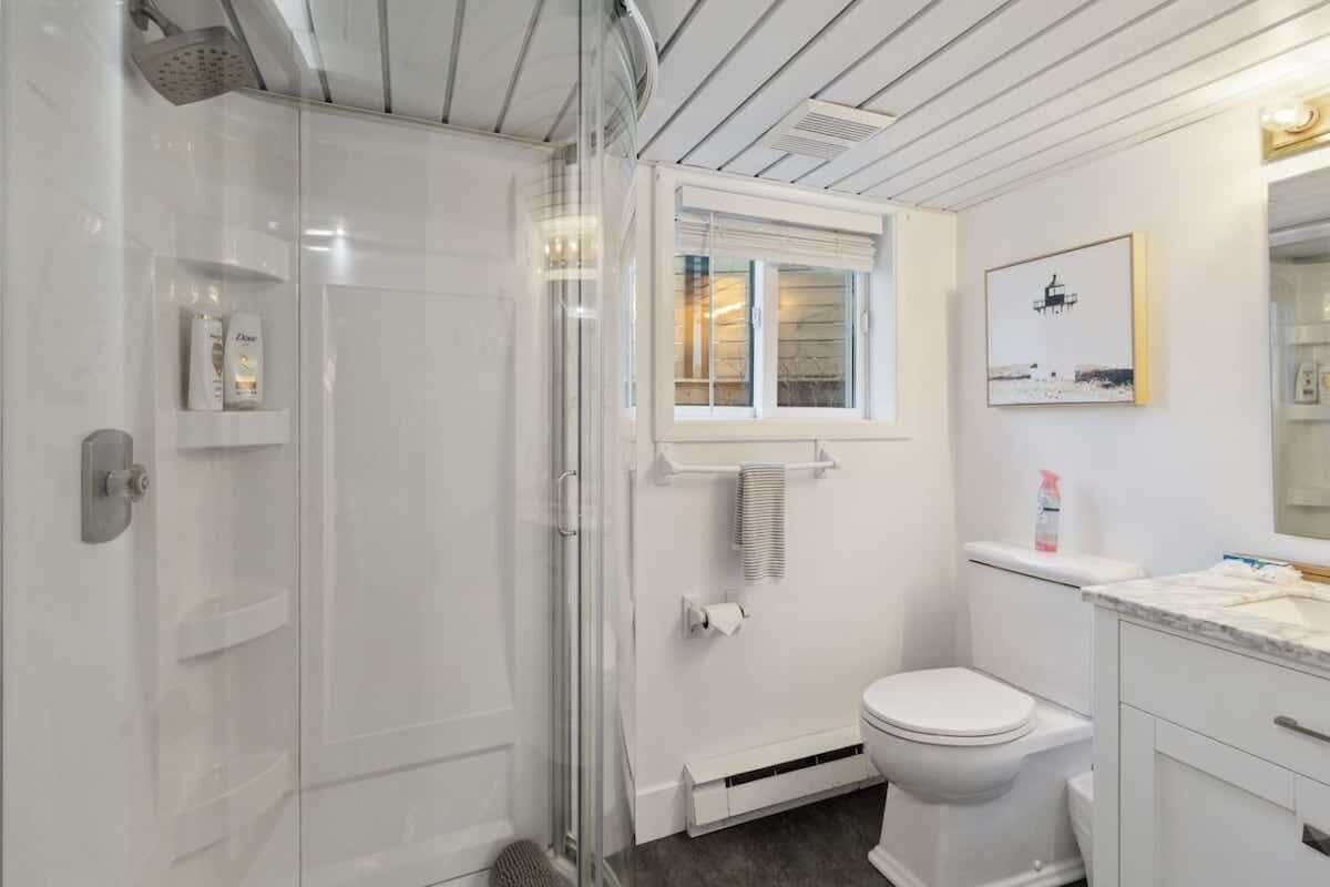 Shower, hair dryer, shampoo