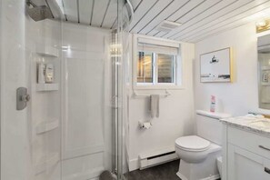 Shower, hair dryer, shampoo