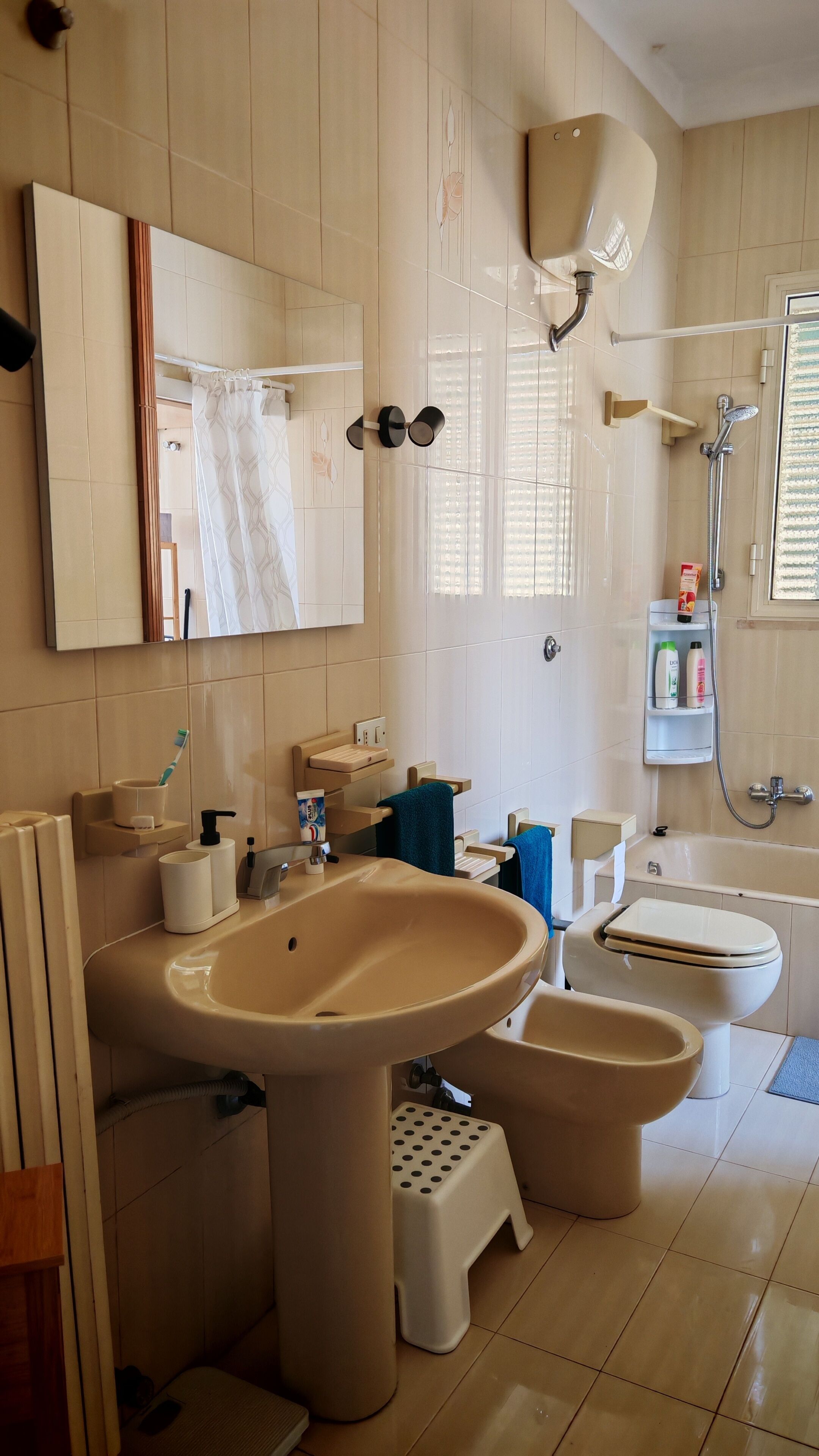 Asciugacapelli, bidet, asciugamani, sapone