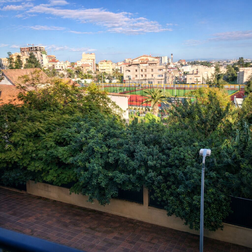 A view of a cityscape with buildings, a sports field, and dense greenery.