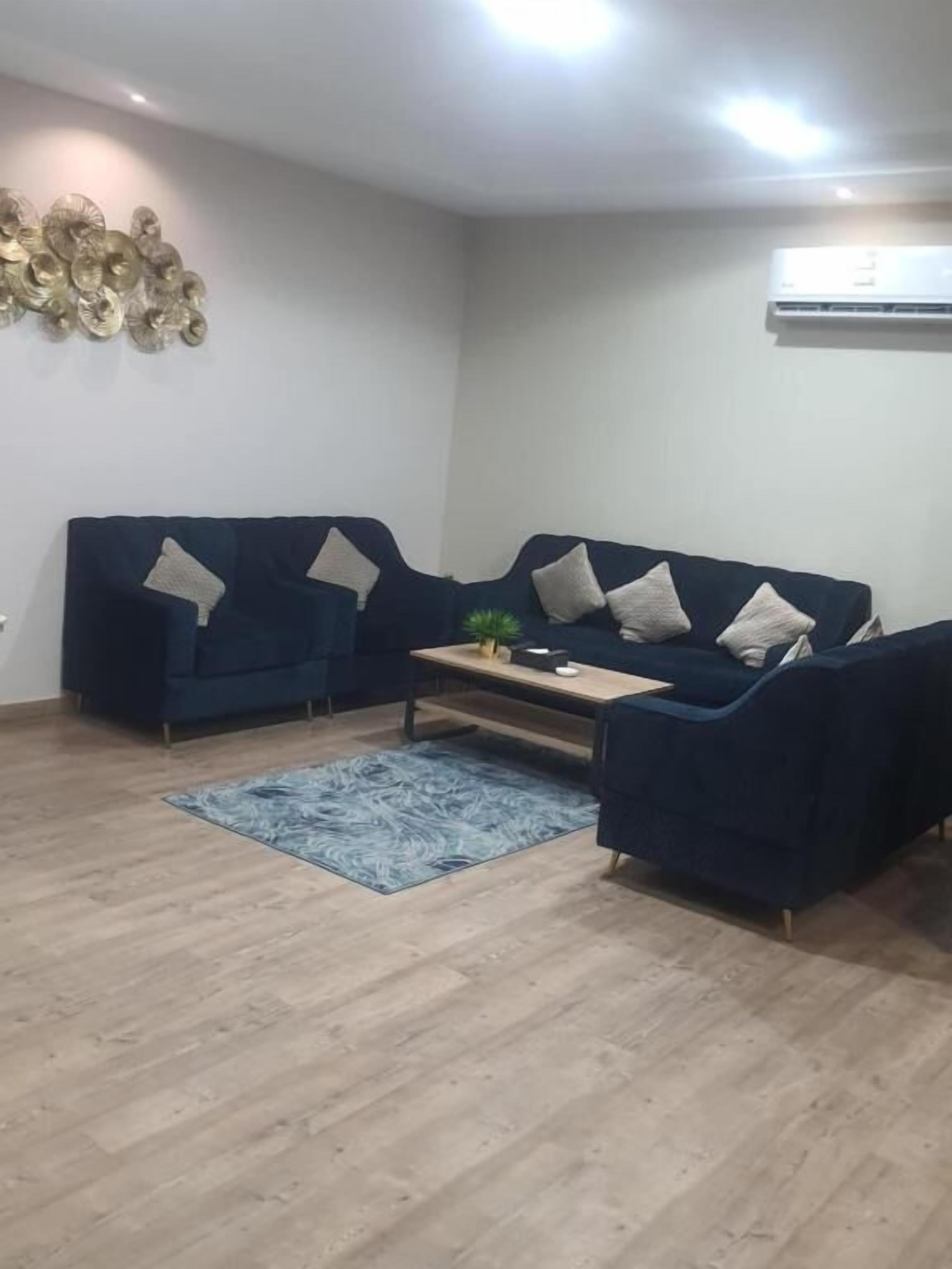 A living room with two dark blue sofas, a coffee table, and a blue rug.