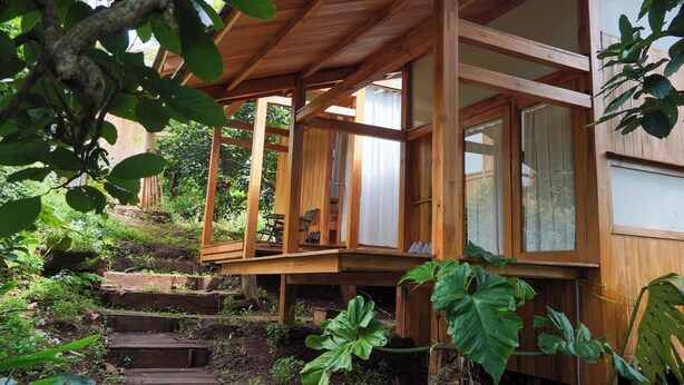 A wooden deck with a staircase leading to a covered area, surrounded by lush greenery.