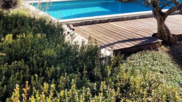 Ein Swimmingpool, umgeben von viel Grün und Bäumen, mit blauem Himmel darüber.