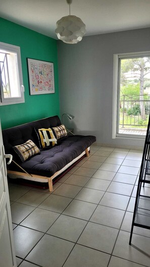 Télévision, cheminée, lecteur de DVD, livres