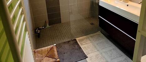 Shower, hair dryer, soap
