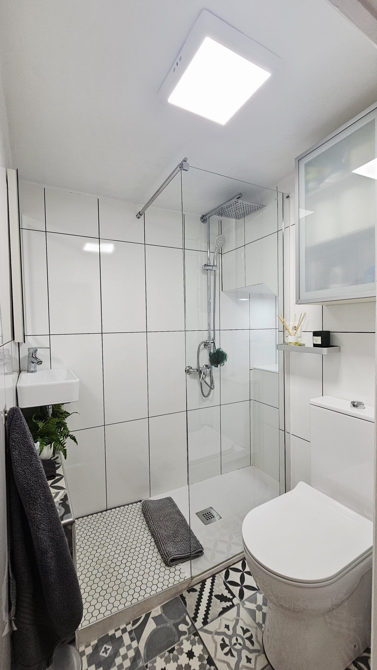 Shower, soap, toilet paper