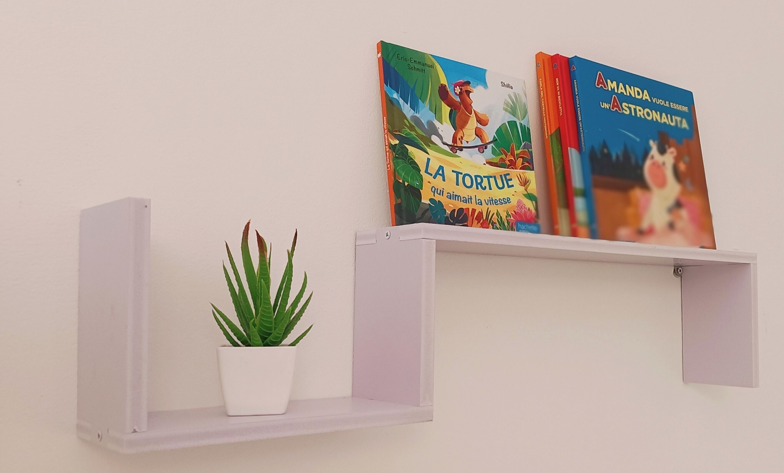 Two books on a white shelf with a small potted plant.