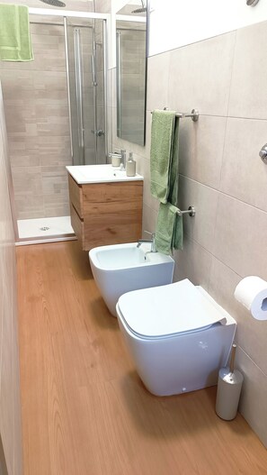 Shower, hair dryer, bidet, towels