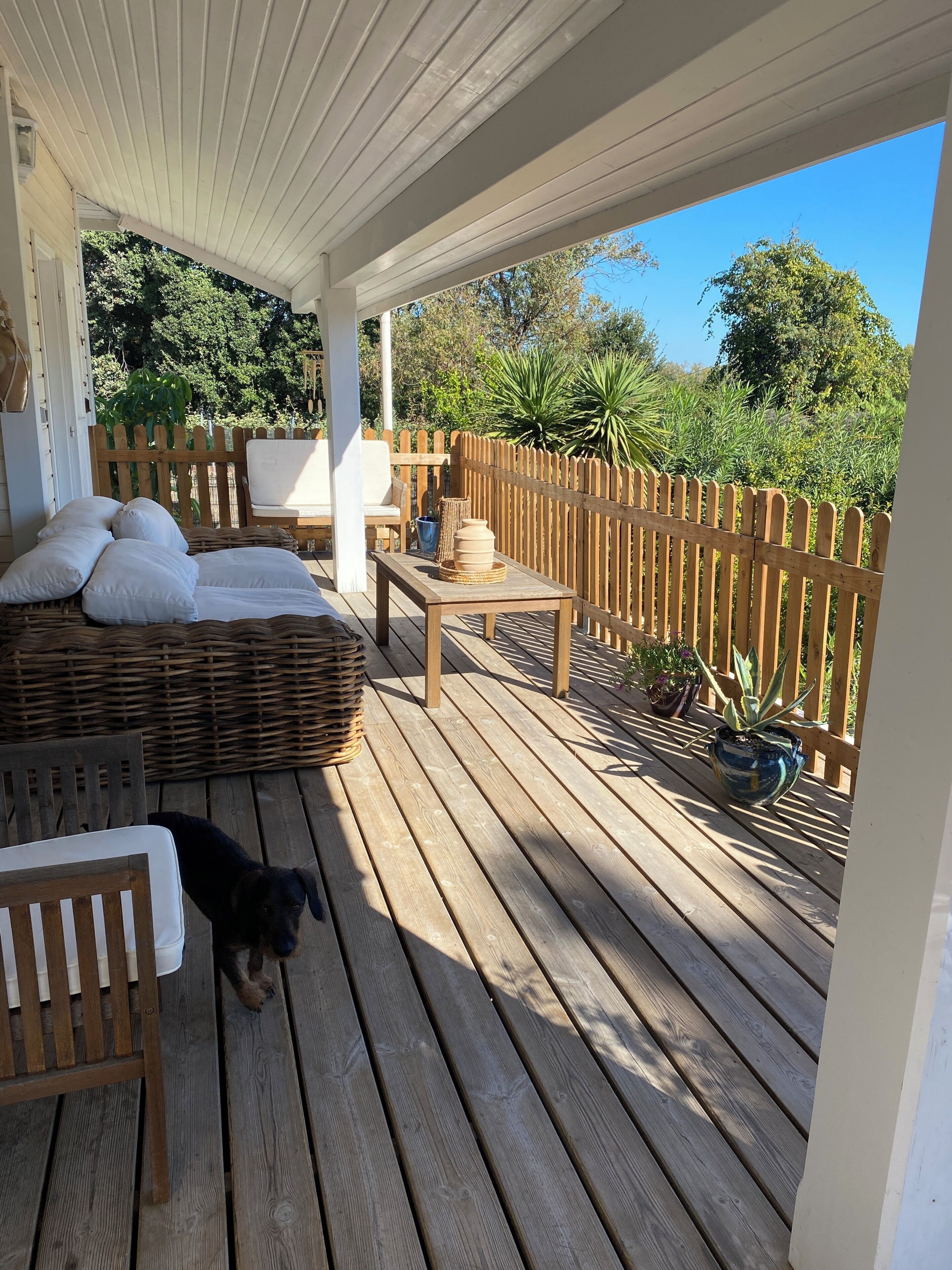 Terras