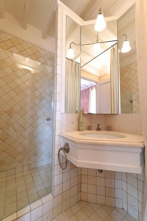 House | Bathroom - Grand Estate for 20 With Pool, Garden (Villecerf)