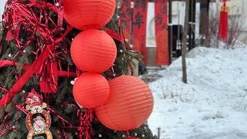 Eenvoudige tweepersoonskamer, uitzicht op stad | Terrein van de accommodatie