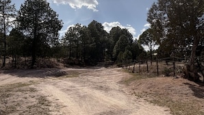 Un camino de tierra serpentea por un área boscosa, bordeado de árboles a ambos lados.