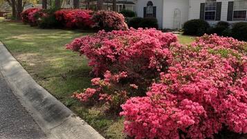 Jardines del alojamiento