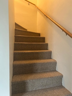 A carpeted staircase with a handrail and a light source at the top.