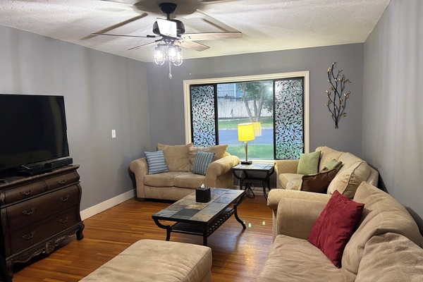 Living room with Roku smart tv and dvds