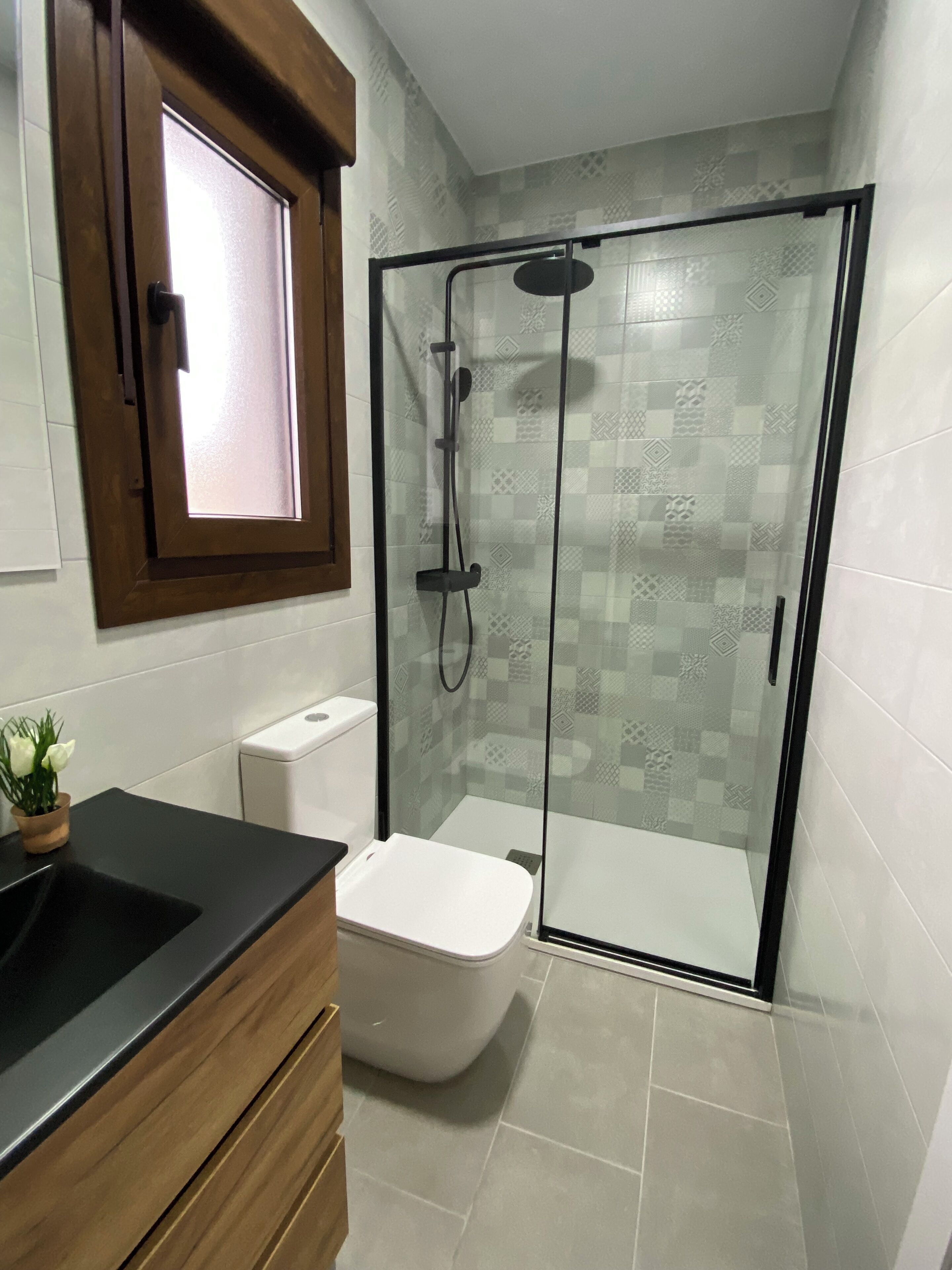 Shower, hair dryer, bidet, towels