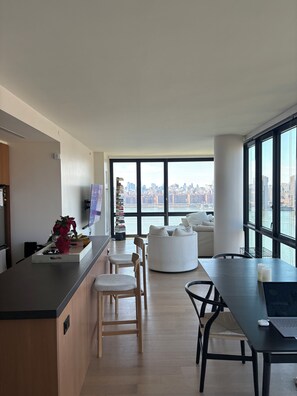 Interior - 2-bedroom apartment in Greenpoint Brooklyn with stunning views (Brooklyn)