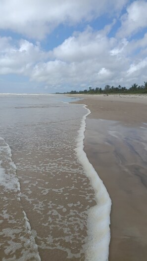 Beach - Comfortable suite 30 meters from the beach. Clean river, mangroves, clean air, clean waters. (Canavieiras)