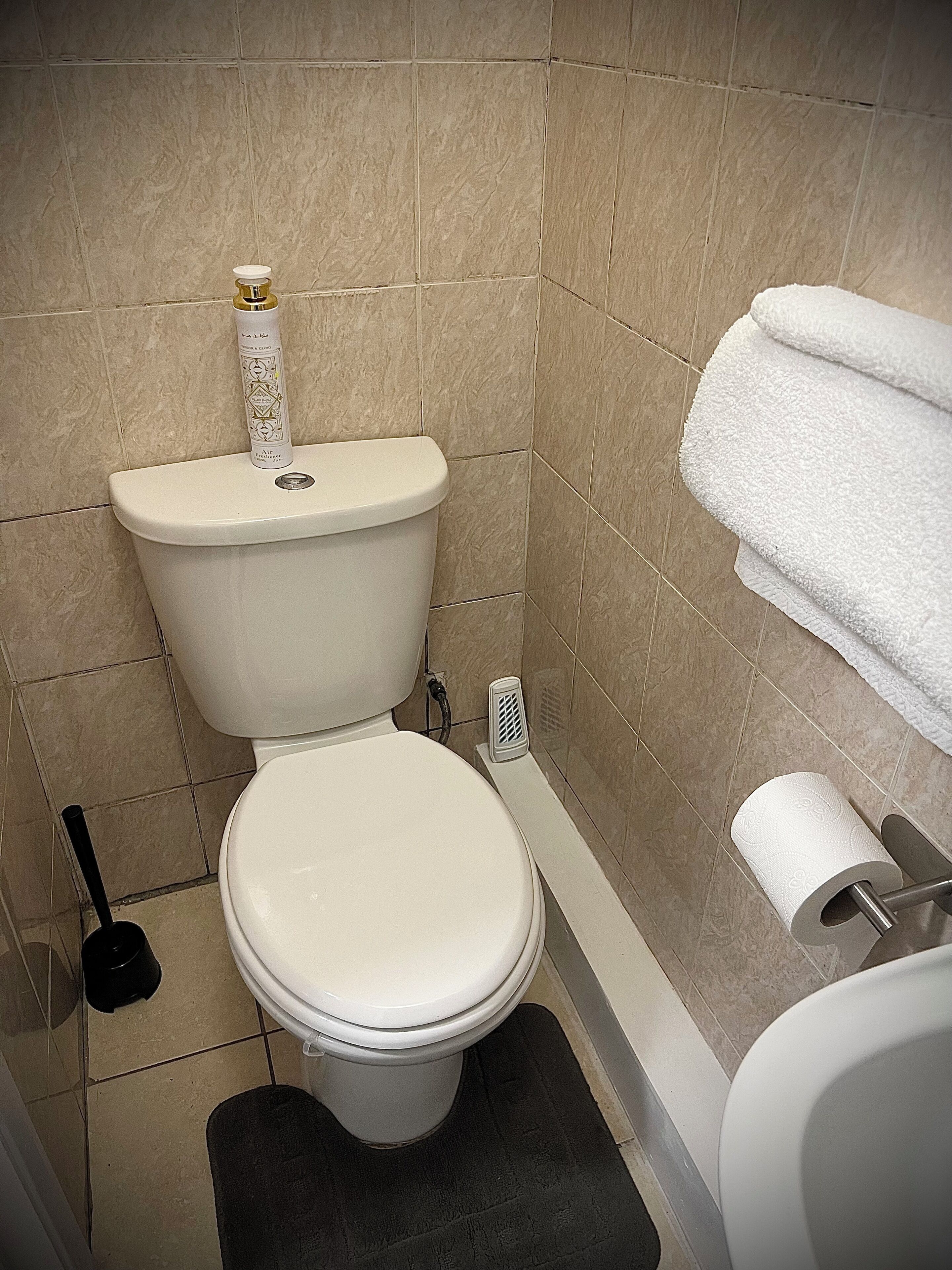 Douche, séchoir à cheveux, serviettes fournies, savon