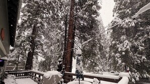 Ein verschneiter Außenbereich mit einem Tisch und Stühlen, umgeben von schneebedeckten Bäumen und einem Holzzaun.