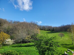 Miscellaneous - Appart. 1 bedroom in idyllic setting 10 km from Marciac Breakfast included (Louslitges)