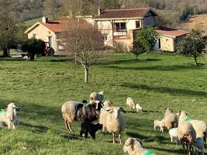 Property grounds - Appart. 1 bedroom in idyllic setting 10 km from Marciac Breakfast included (Louslitges)