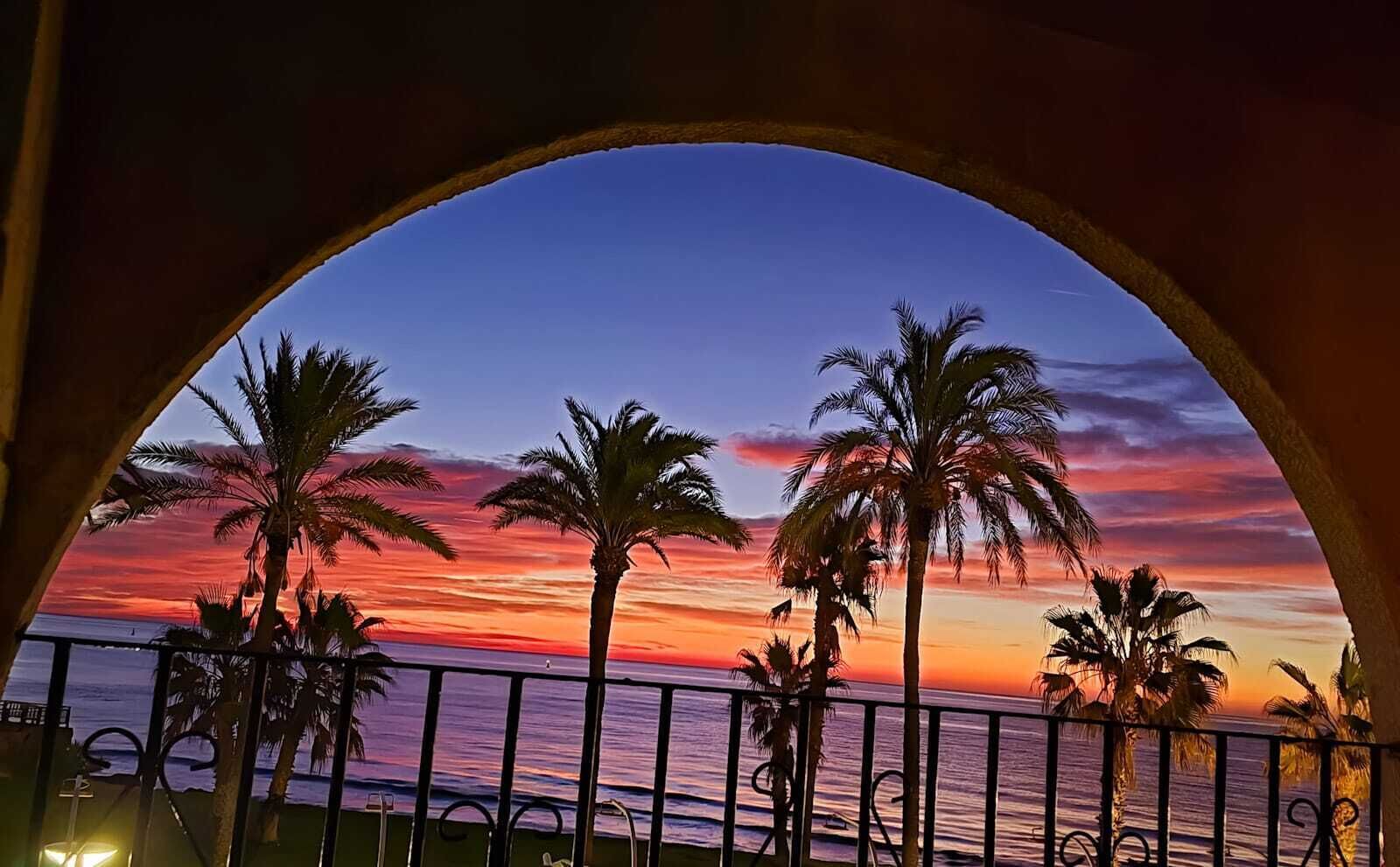 A sunset view through an archway with palm trees and a railing.
