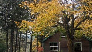 A cabin surrounded by trees with yellow leaves, a gravel driveway, and a small garden area. - Cozy cabin in the woods with internet, hot tub,fire pit, grille, gas stove (Walton)