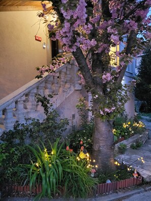 Un albero con fiori rosa, una scala in pietra e un giardino con piante e luci.