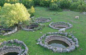 Property grounds - Holiday home Maria with private pool and jacuzzi (Lećevica)