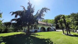 A building with a white facade, arched windows, and a large tree in the foreground.