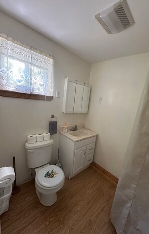 Shower, hair dryer, towels, soap - Serene 2-bedroom lake house in welcoming Unity, perfect for relaxing stays (Unity)