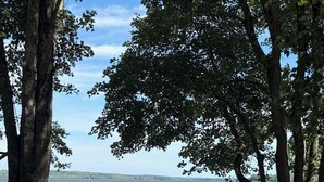 A lakeside view with trees, a bench, and a clear sky. - Serene 2-bedroom lake house in welcoming Unity, perfect for relaxing stays (Unity)