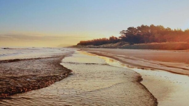 A beach with a sandy shore and a line of trees in the background. - Willa Balticus Władysławowo (Władysławowo)