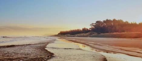 Una playa cerca, arena blanca, 5 bares en la playa