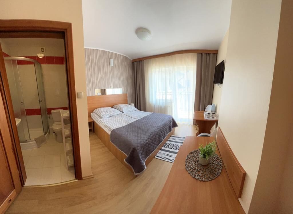 Ein Hotelzimmer mit Bett, Schreibtisch, Stuhl, einem kleinen Tisch mit Pflanze, Duschbereich und einem an der Wand befestigten Fernseher.