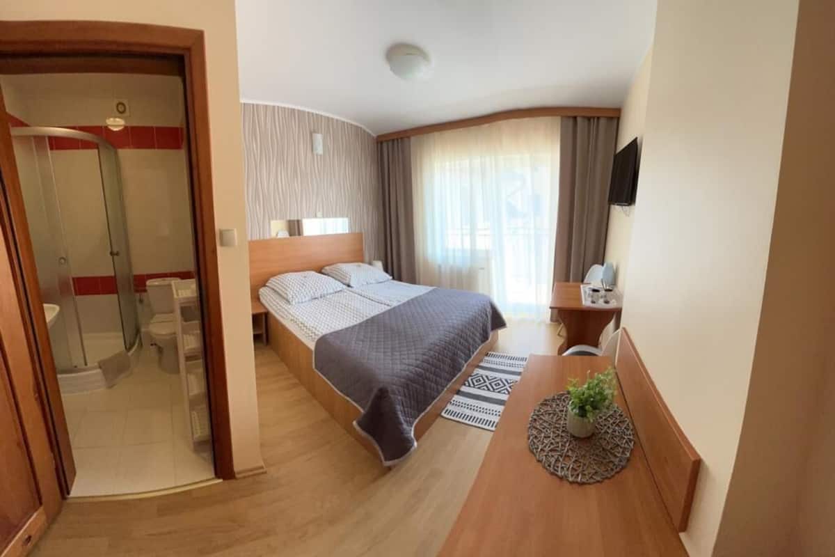 A hotel room with a bed, a desk, a chair, a small table with a plant, a shower area, and a TV mounted on the wall.