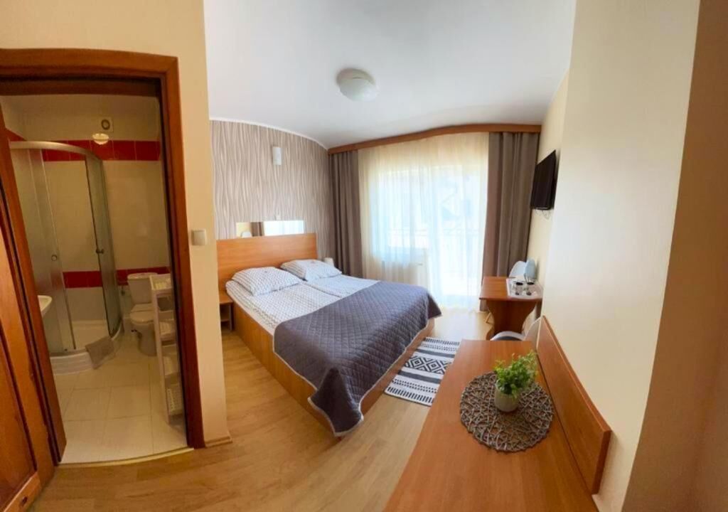 Une chambre d’hôtel comprenant un lit, un bureau, une chaise, une petite table avec une plante, un espace douche et un téléviseur.