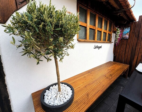 Un banco de madera, un árbol en maceta y una ventana con marco de madera.