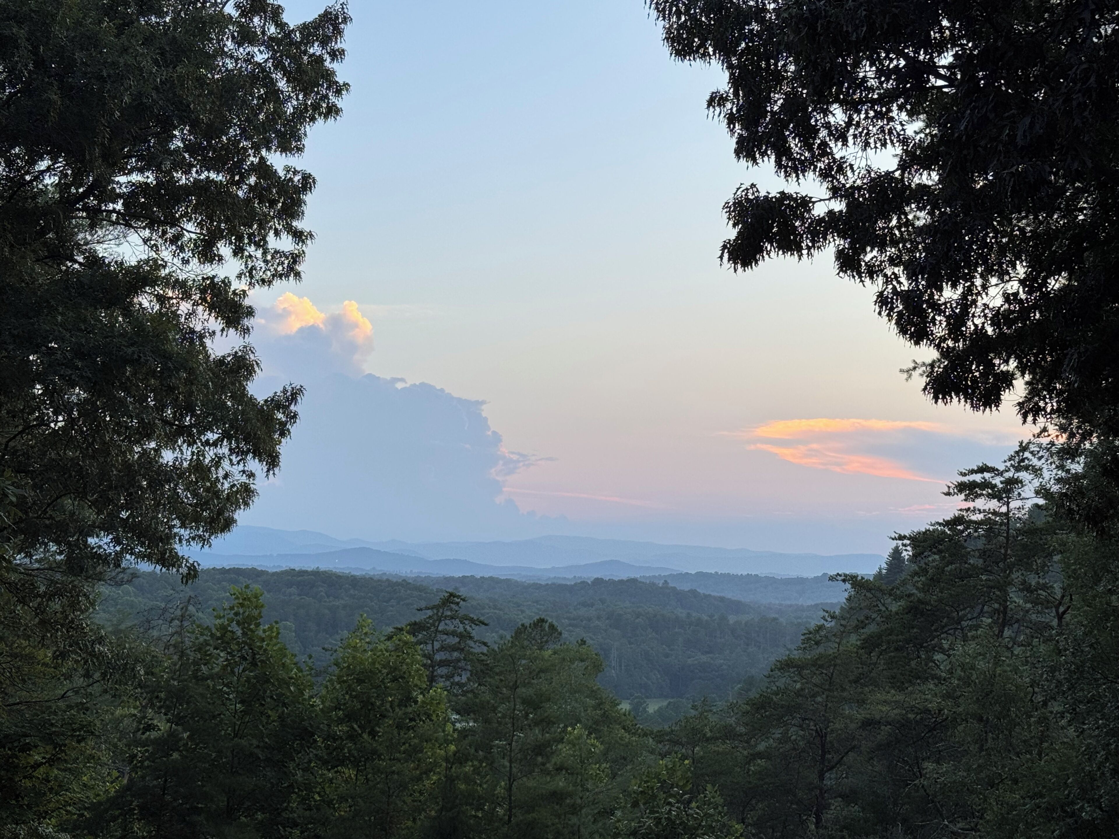 Un paysage boisé offrant une vue sur des collines lointaines.