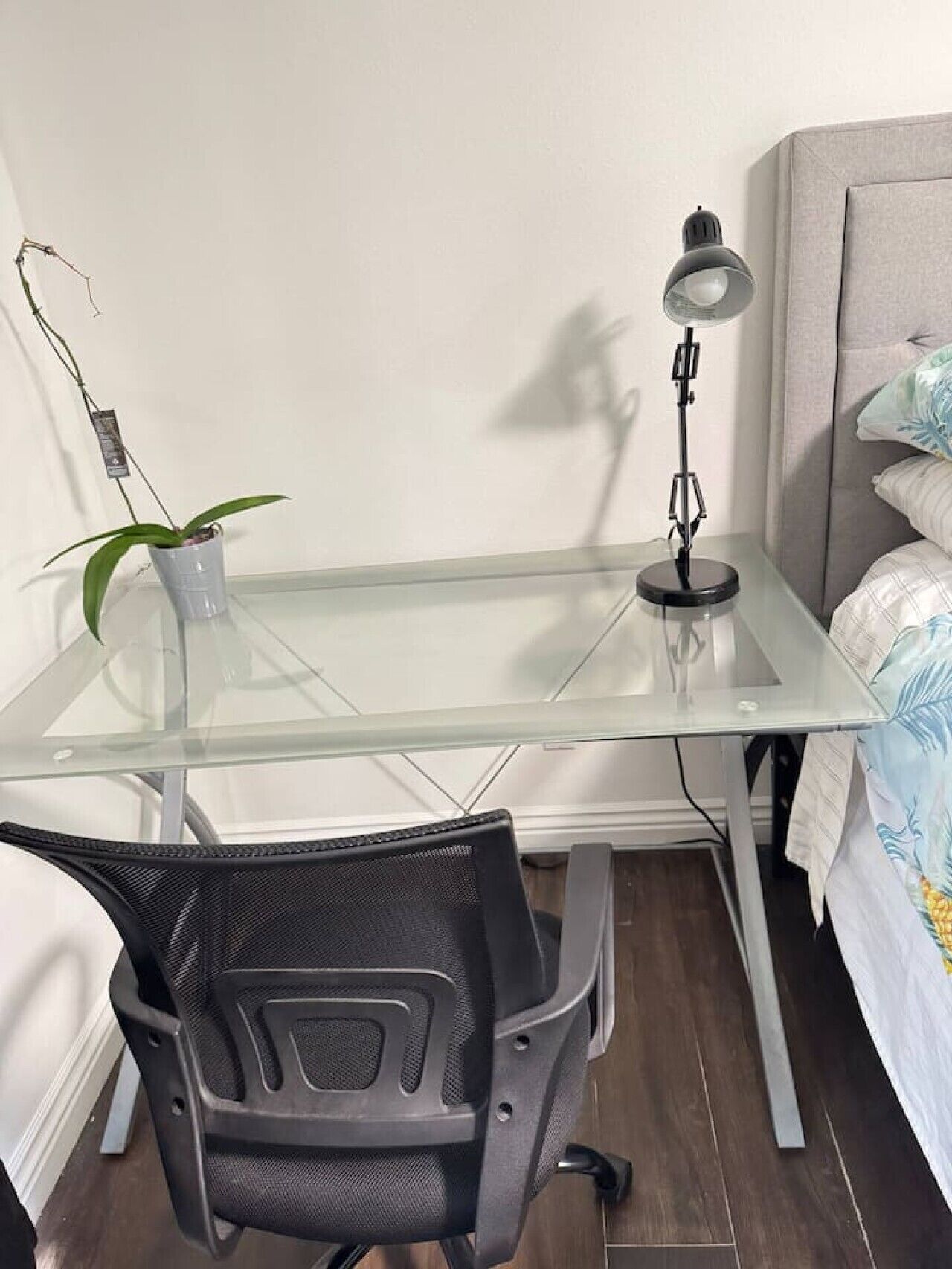A small, modern workspace with a glass desk, a black office chair, a desk lamp, and a potted plant.