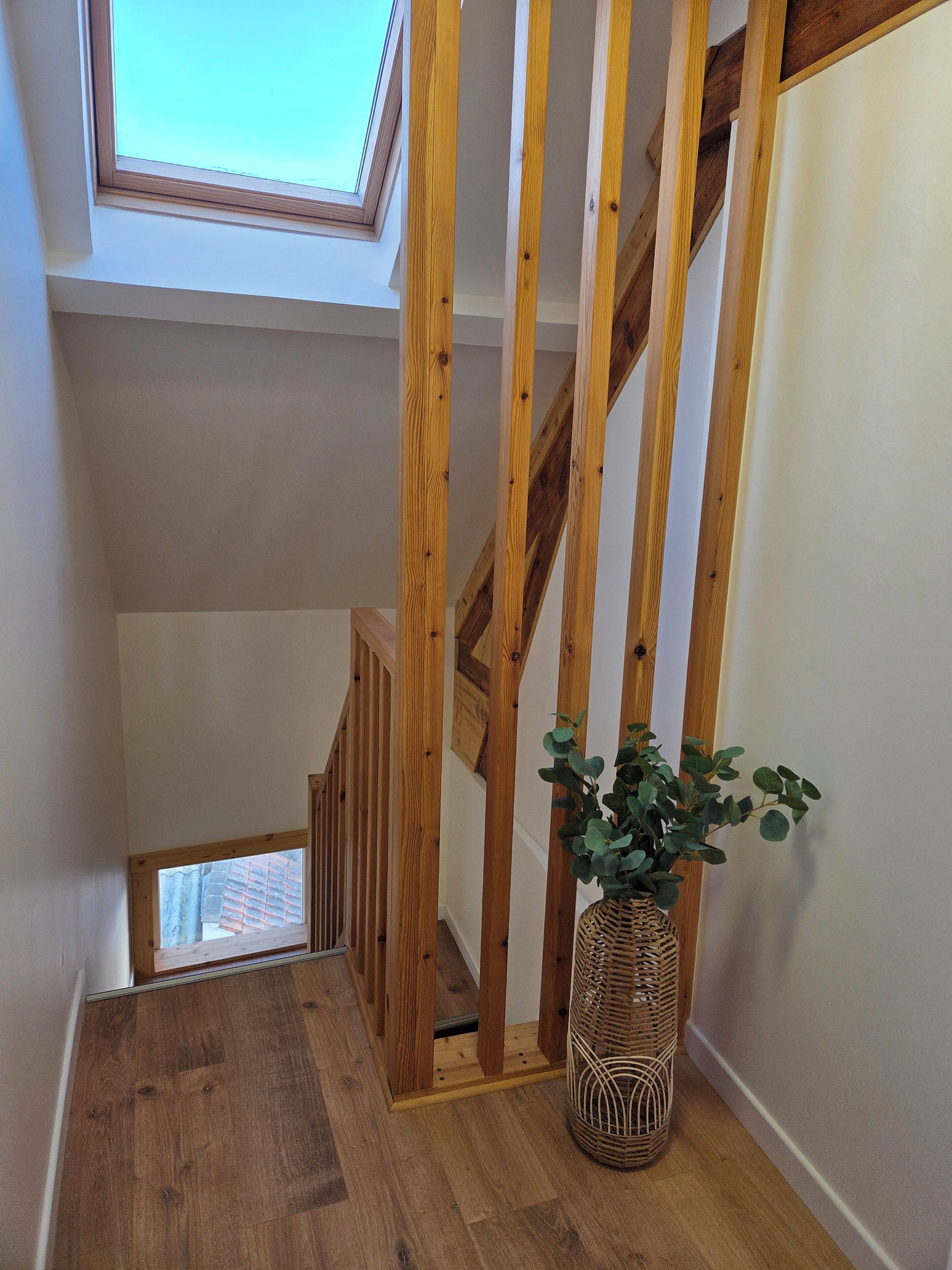 A wooden staircase with a skylight, a wicker vase with green foliage, and a view of the outside.