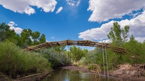 A wooden bridge over a river with surrounding greenery and trees.